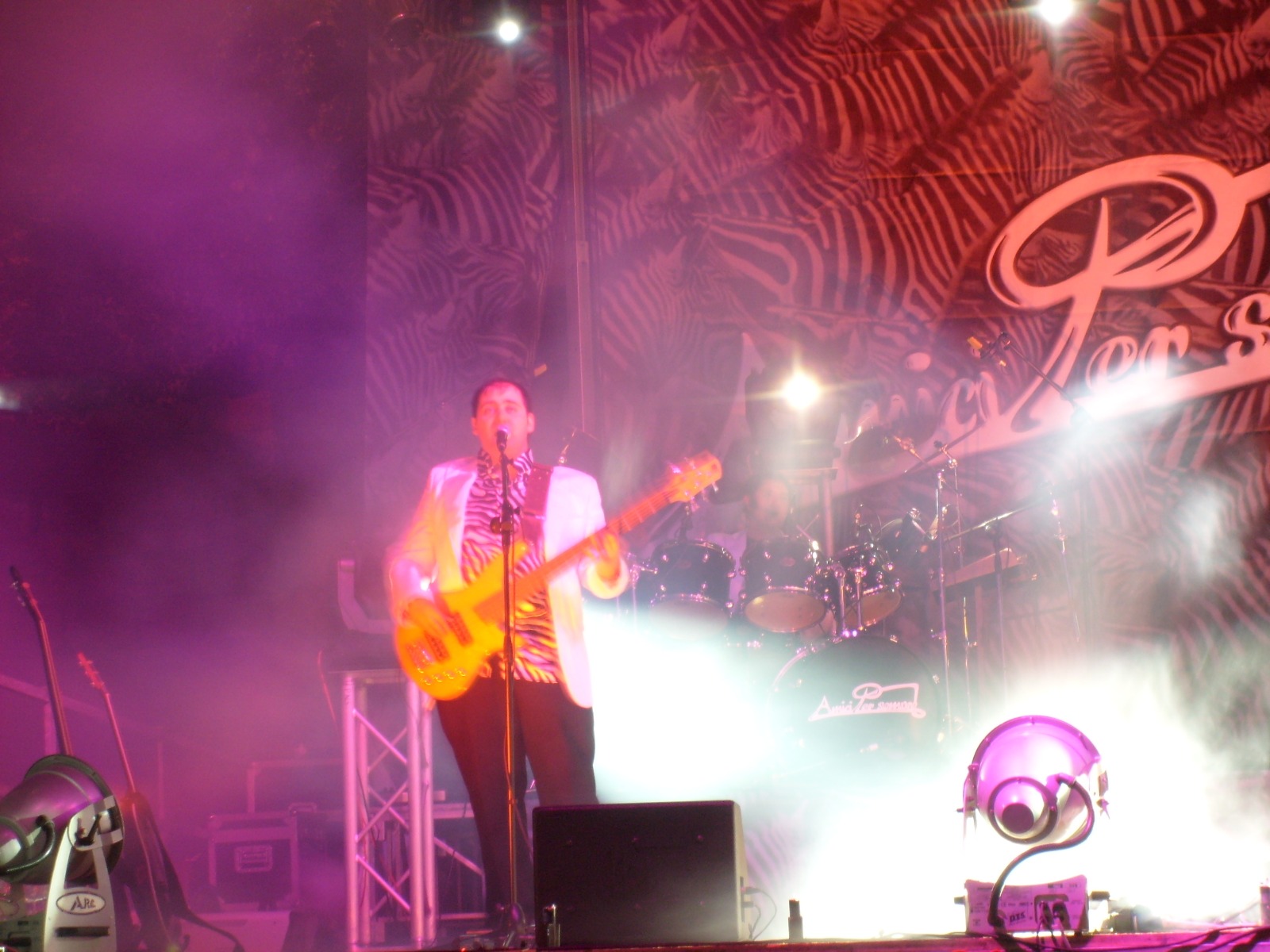 Scenografia zebrata – Amici Per Sempre live Viterbo